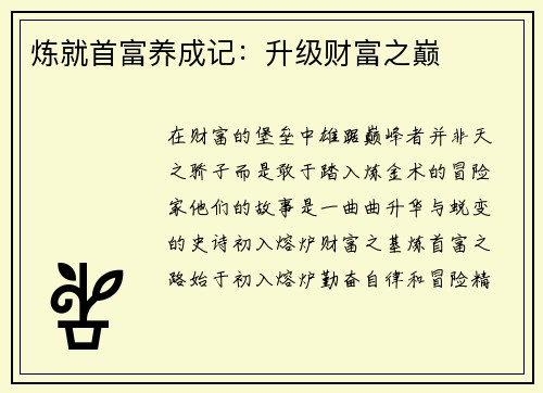 炼就首富养成记：升级财富之巅
